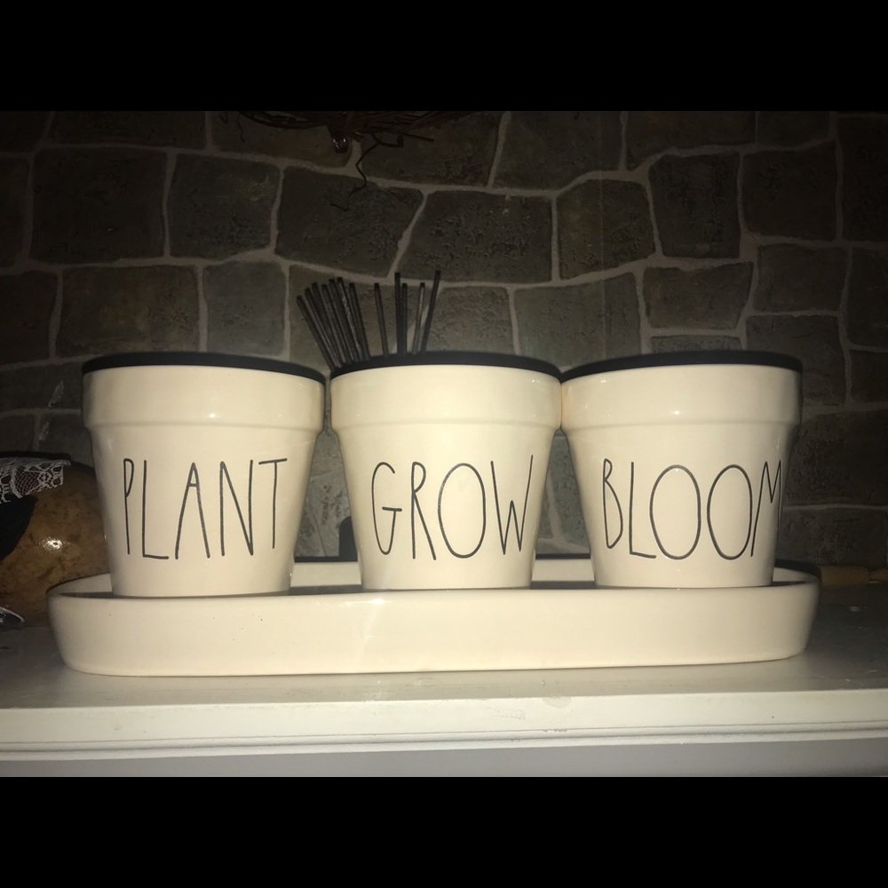 Rae Dunn plant grow bloom planter